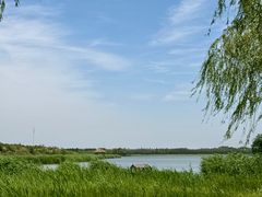 -西青郊野公园