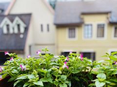 -中旅阿那亚九龙湖·公主酒店