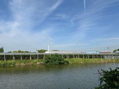 -马陆小张葡萄园农家乐