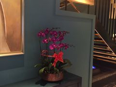 -美奈小馆·越南料理(中航城君尚购物中心店)
