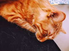 -Tempo Coffee(市二宮店)