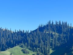 -新疆那拉提国家旅游度假区