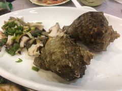 -金海湾海鲜排档(朱家尖店)