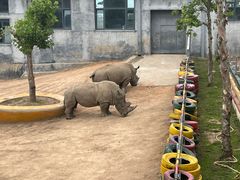 -西霞口神雕山野生动物世界