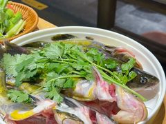 -老凯俚酸汤鱼(多彩城店)