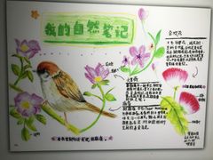 -上海昆虫博物馆