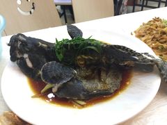 清蒸石斑鱼-覃记海鲜美食餐厅