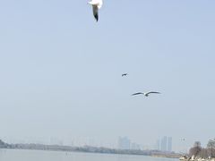 -东湖落雁景区