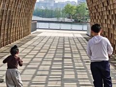 -东方美谷JW万豪酒店·The lounge大堂吧