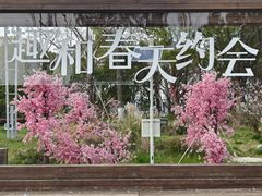-金鸡湖桃花岛