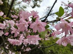 -西湖风景区-江洋畈生态公园