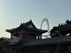 -天津大悲禅院