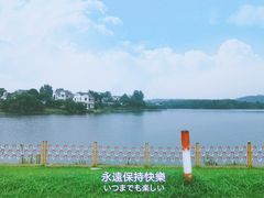-大塘金香草谷