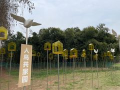 -同里国家湿地公园