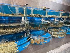 水产区-蓝珊甄选海鲜自助·火锅大排档(近阿那亚店)