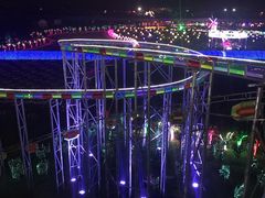 -枫林花海