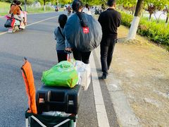 -漕湖湿地公园