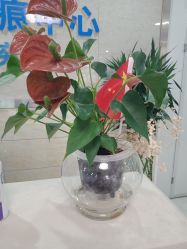 -成都军建医院·疤痕诊疗中心