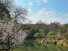 -杭州植物园