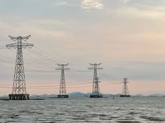 -宝安西湾红树林湿地公园