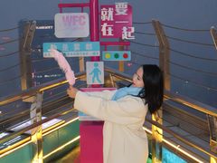 -WFC会仙楼观景台