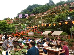 -枇杷园食为鲜火锅(南山店)