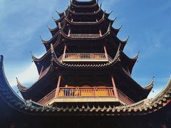 -红梅公园