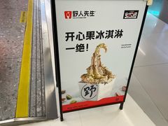 -野人先生现做冰淇淋(北京王府井东方新天地店)
