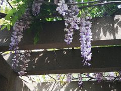 -共青国家森林公园-南大门停车场