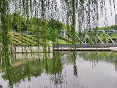 -白塘生态植物园
