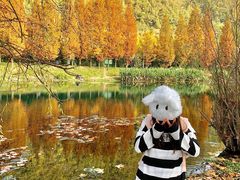 -贵阳市花溪国家城市湿地公园