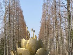 -东平国家森林公园