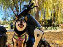 -九号电动车(安定门内大街店)