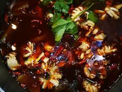 -重庆乌鱼庄·龙滋鲜(青羊大道店)