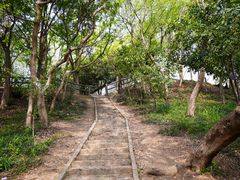 -上海佘山国家森林公园天马山园