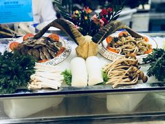 -339旋转餐厅(天府熊猫塔店)