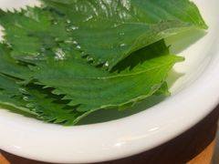 -全聚德烤鸭店(马家堡店)