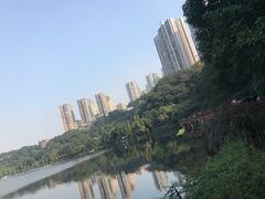 -重庆彩云湖湿地公园