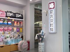 -爱洗澡的猫(望京店)