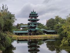 -桂湖森林公园