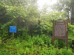 -阳台山自然风景区