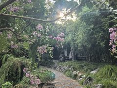 -上海醉白池公园