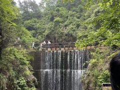 -大奇山国家森林公园