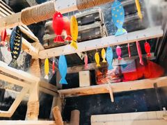 -猫咪博物馆(顶澳仔猫街店)