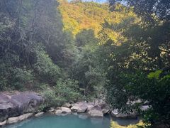 -广州白江湖森林公园