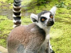 -哈尔滨北方森林动物园