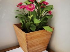 -813芭依珊 BAESAn(皇冠十畝地店)