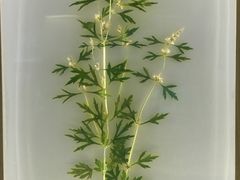 -广东省博物馆