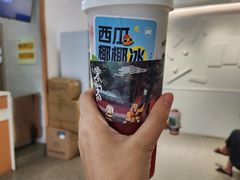 -雾与山茶(大禹城店)