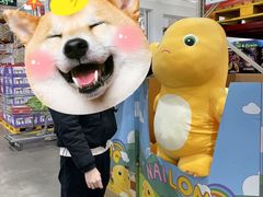 -山姆会员商店(杨桥西路店)